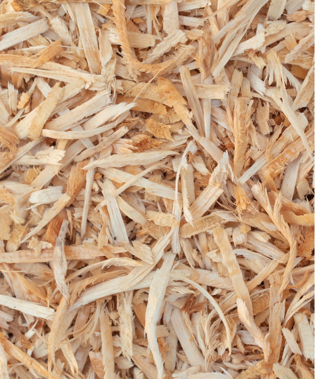 wood chips for sale